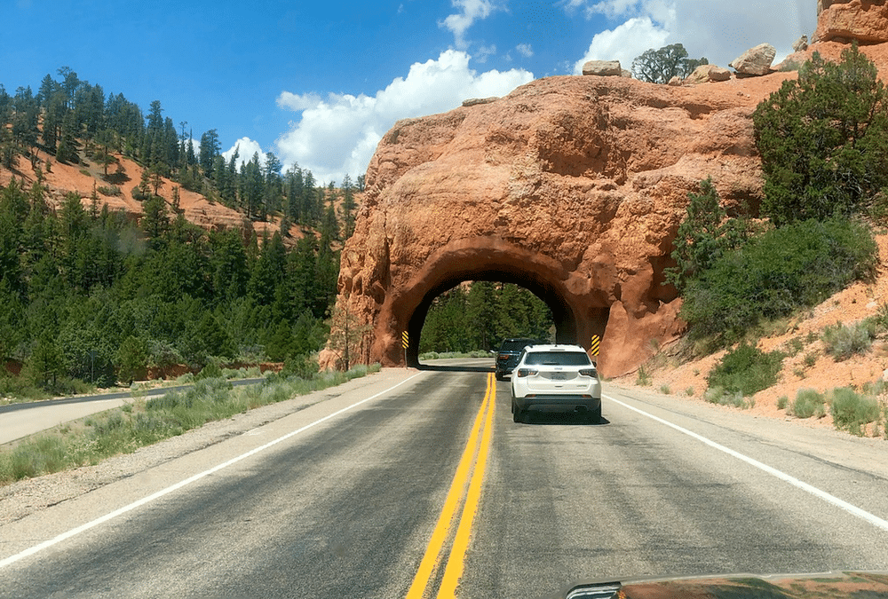 Canyon on Rotation: POV Escalante ROAD TRIP