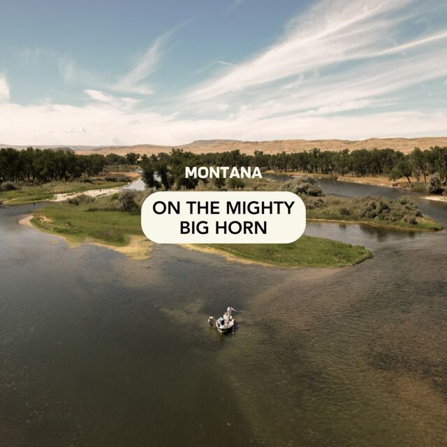 Where are we meeting for the next adventure? 🙌🏻🗺️
Let us know which one’s top of your list!

The Mighty Big Horn in Montana @cottonwoodcamp 🎣
The Hot Springs just up the road from @sacajaweainn in Salmon Idaho 🏔️
The Slot Canyons just a short drive from @escalantegrandresort 🏜️
Lake Roosevelt just a jump from @columbia_point_resort 🌲
At the base of the Grand Tetons @tetonpeaksresort 🏔️🥾
The beaches of @pacificdunesresort 🌊
Or the wild wild west @virginianhotelwy 🤠

Drop your pick in the comments and tag your adventure buddy! 👇

Let the adventure begin! ✨🗺️

#adventuretravels #lettheadventurebegin #traveldestinations